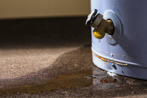 Best Residential water damage restoration  in Pine Mountain Clu, CA