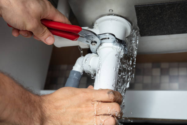 Best Water damage mitigation services  in Pine Mountain Clu, CA