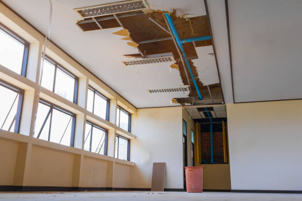 Best Carpet water damage restoration  in Pine Mountain Clu, CA
