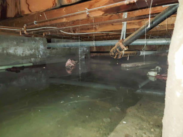 Best Water damage restoration process  in Pine Mountain Clu, CA