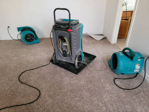 Best 24-hour water damage restoration  in Pine Mountain Clu, CA