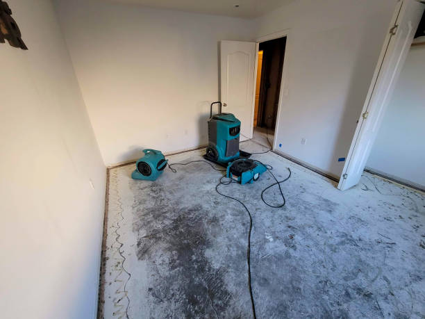 Best Water damage restoration near me  in Pine Mountain Clu, CA