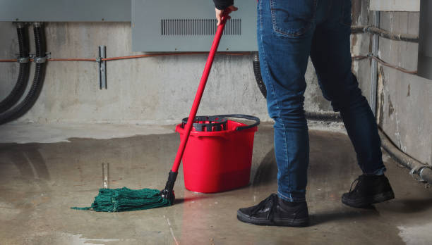Best Professional water damage repair  in Pine Mountain Clu, CA