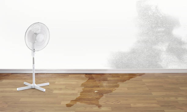 Best Flood restoration services  in Pine Mountain Clu, CA