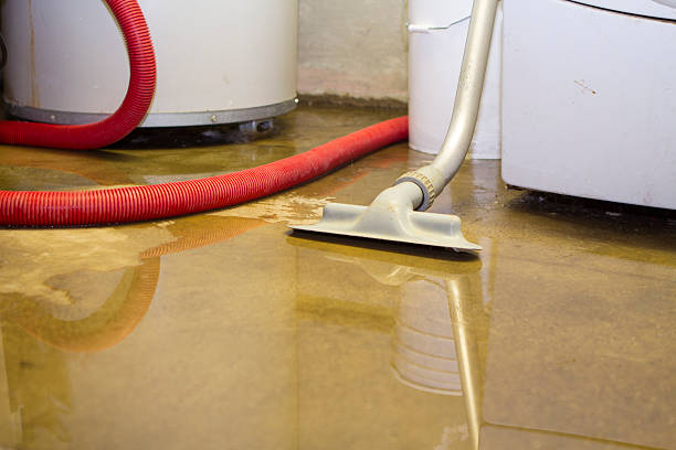 Best Emergency water damage restoration  in Pine Mountain Clu, CA
