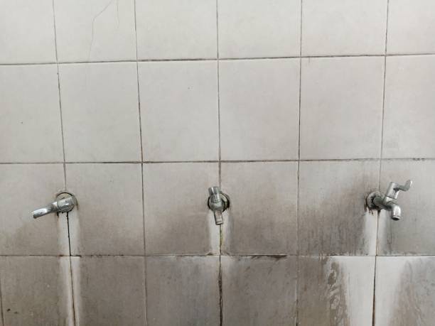 Best Fire Damage Restoration  in Pine Mountain Clu, CA