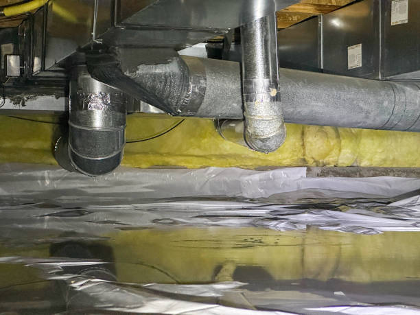 Best Flood restoration services  in Pine Mountain Clu, CA