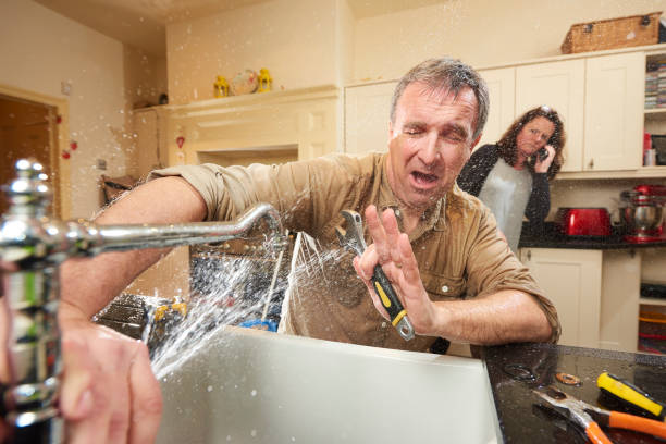 Best Water damage restoration mold remediation  in Pine Mountain Clu, CA